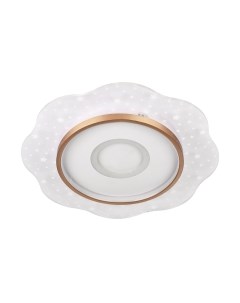 Потолочный светильник LED4U L1028-500 WH-GD Led4u