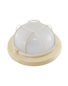 Светильник ЖКХ TDM SQ0303-0432 Tdm