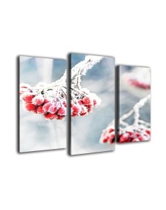 Картина модульная Arthata m-000162