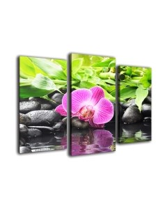 Картина модульная Arthata m-000318