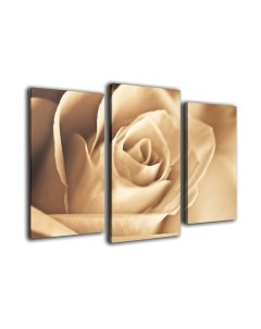 Картина модульная Arthata m-000226