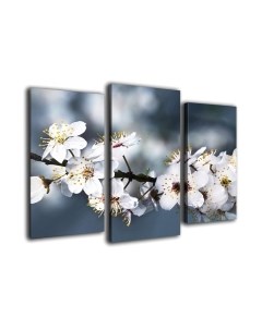 Картина модульная Arthata m-000532