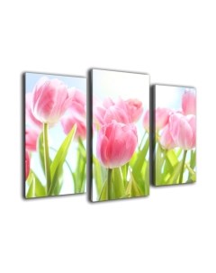 Картина модульная Arthata m-000581