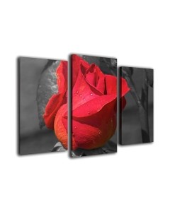 Картина модульная Arthata m-000509