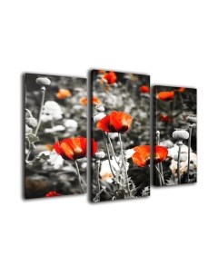 Картина модульная Arthata m-000519