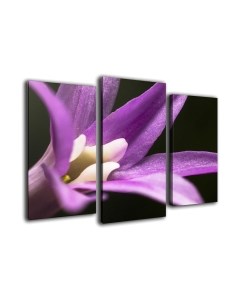 Картина модульная Arthata m-000217