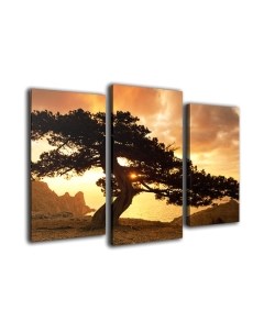 Картина модульная Arthata m-000354