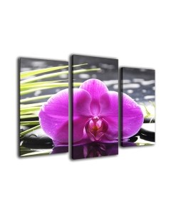 Картина модульная Arthata m-000259