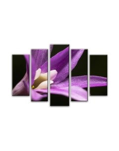 Картина модульная Arthata 5m-465