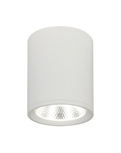 Потолочный светильник ESCADA 20003SMU/02LED SWH Escada