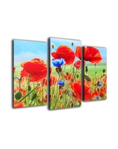 Картина модульная Arthata m-000520