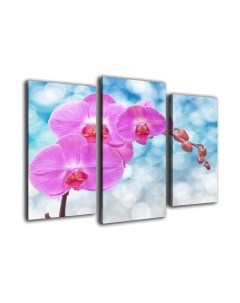 Картина модульная Arthata m-000565