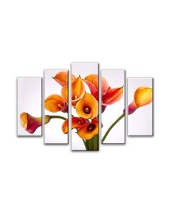 Картина модульная Arthata 5m-657