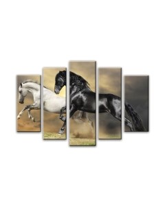 Картина модульная Arthata 5m-239