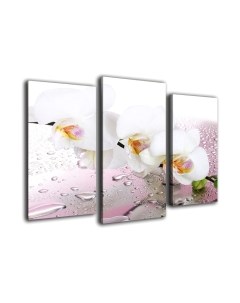 Картина модульная Arthata m-000584