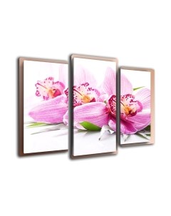 Картина модульная Arthata m-000527