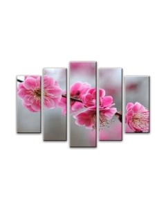 Картина модульная Arthata 5m-678