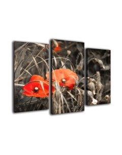 Картина модульная Arthata m-000289