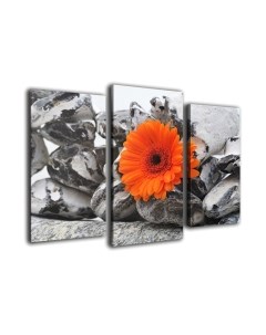 Картина модульная Arthata m-000508