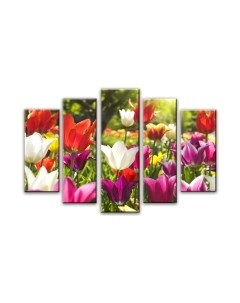 Картина модульная Arthata 5m-370