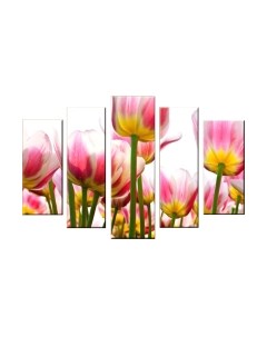 Картина модульная Arthata 5m-019