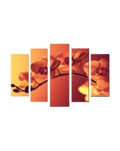 Картина модульная Arthata 5m-505