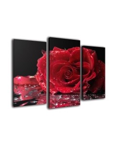 Картина модульная Arthata m-000499