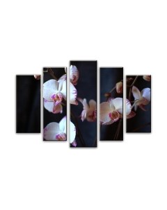 Картина модульная Arthata 5m-560