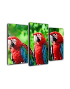 Картина модульная Arthata m-000444