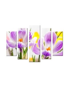 Картина модульная Arthata 5m-723