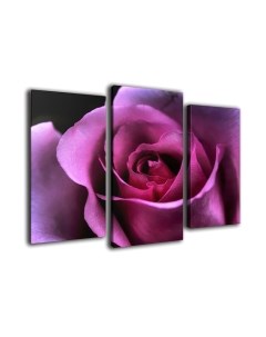 Картина модульная Arthata m-000535