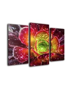 Картина модульная Arthata m-000494