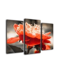 Картина модульная Arthata m-000511