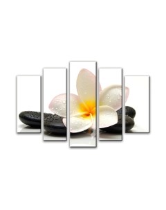 Картина модульная Arthata 5m-736