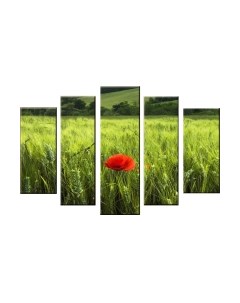 Картина модульная Arthata 5m-097
