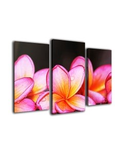 Картина модульная Arthata m-000498