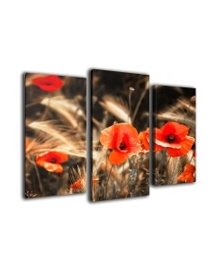 Картина модульная Arthata m-000488