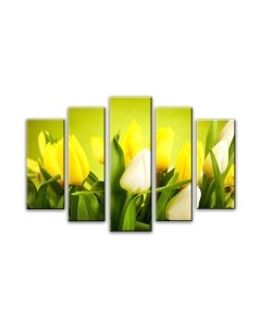 Картина модульная Arthata 5m-622