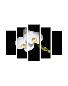 Картина модульная Arthata 5m-046