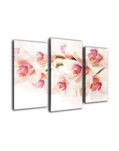 Картина модульная Arthata m-000308