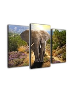 Картина модульная Arthata m-000313