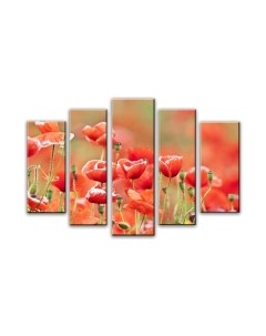 Картина модульная Arthata 5m-421