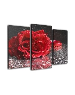 Картина модульная Arthata m-000505