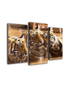 Картина модульная Arthata m-000144