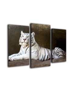 Картина модульная Arthata m-000315