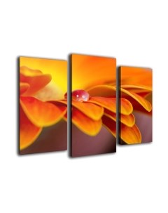 Картина модульная Arthata m-000482