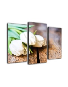 Картина модульная Arthata m-000212