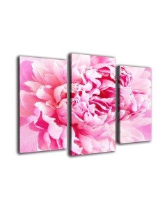 Картина модульная Arthata m-000200