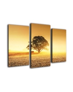 Картина модульная Arthata m-000357