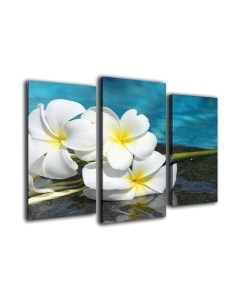 Картина модульная Arthata m-000616